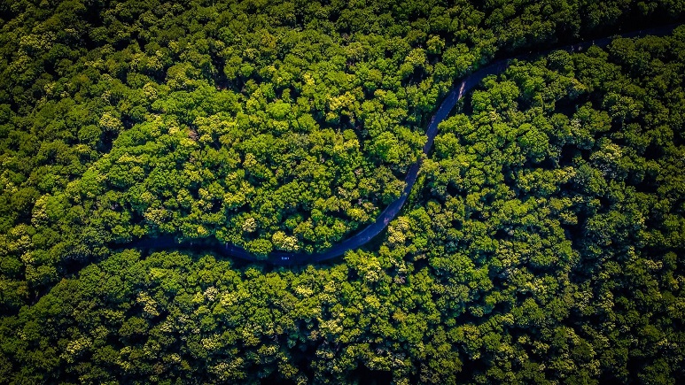 No Scaring of Landscapes, No Tailings Disasters, No Dust